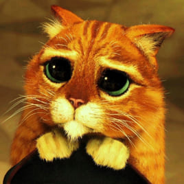 Fifteen Picture: cat from Shrek