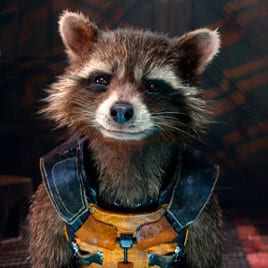 Fifteen Picture: Rocket raccoon from Guardians of the Galaxy