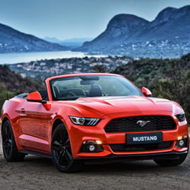 Fifteen Picture: convertible